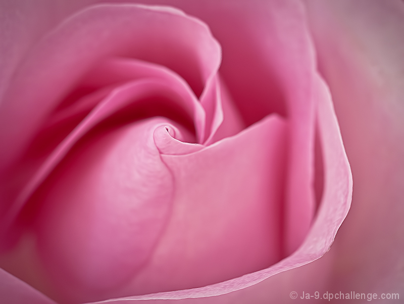 Delicate Pastel