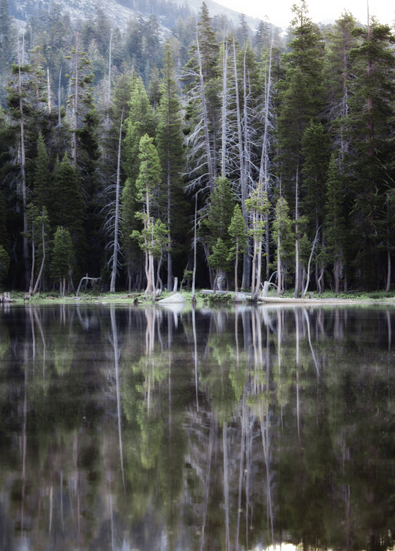 Pastel Reflections