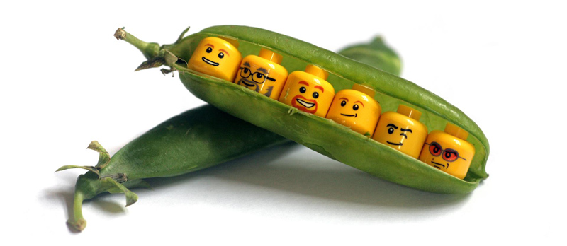 Lego pod