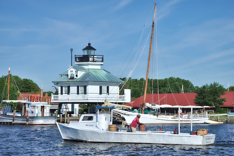 Busy Harbor