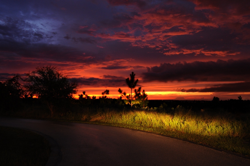 Colorful Evening