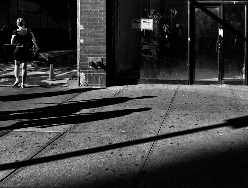 Into the Shadows