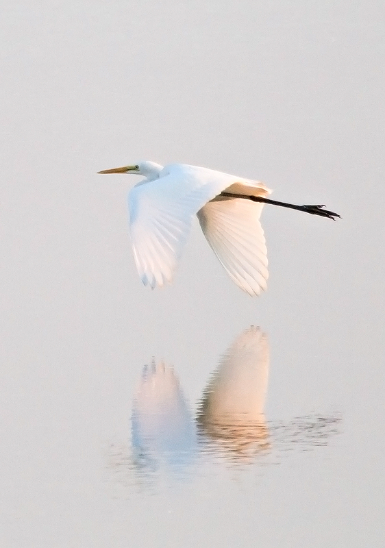 Flight