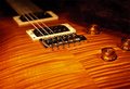 Flame Maple