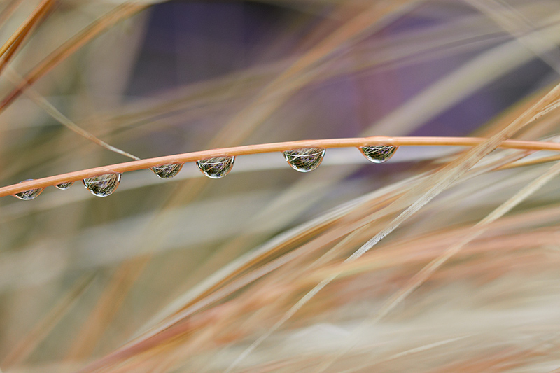Raindrops keep falling....