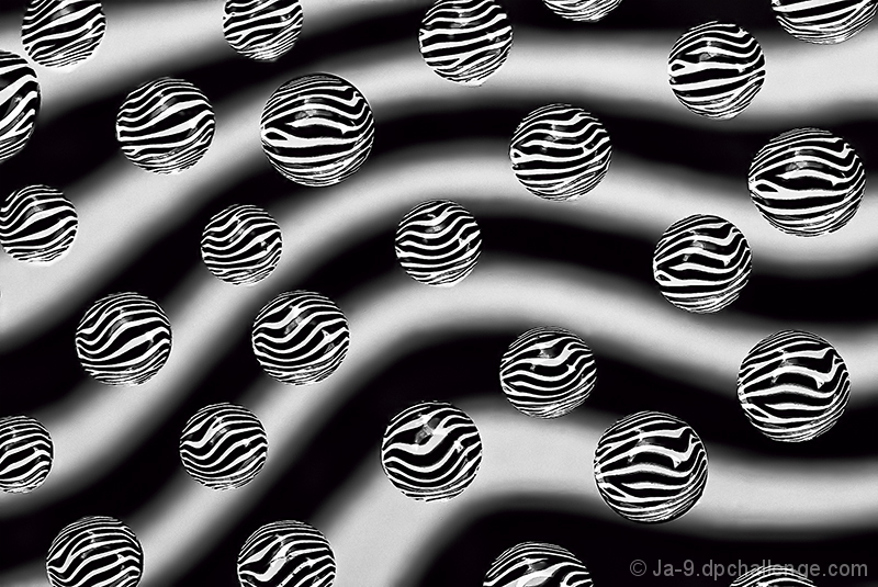 Deconstructed Zebra