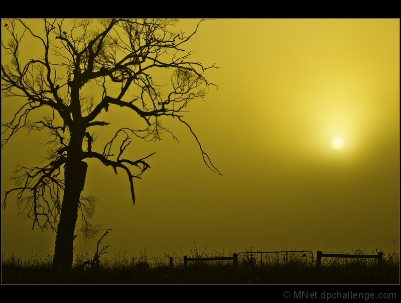 Solar Time - Telling Time from the Position of the Sun in the Sky