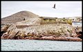 Home of thousends of Birds