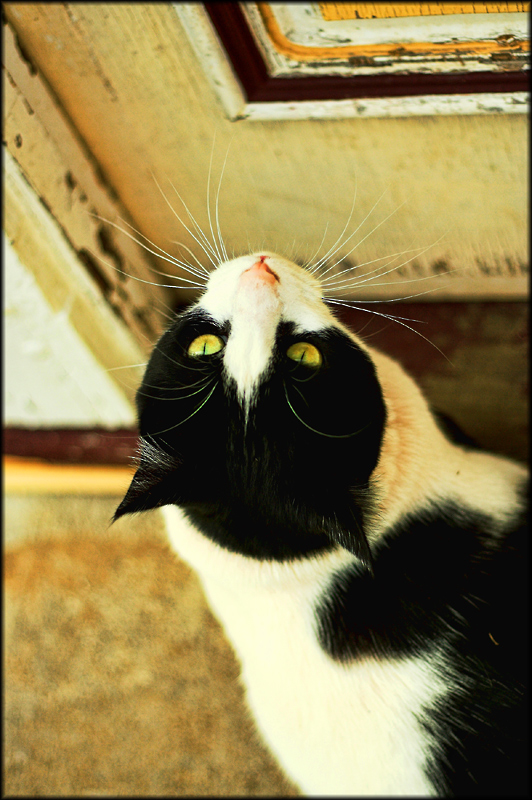 I'm home - please let me in