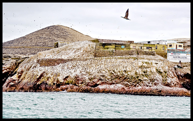Home of thousends of Birds
