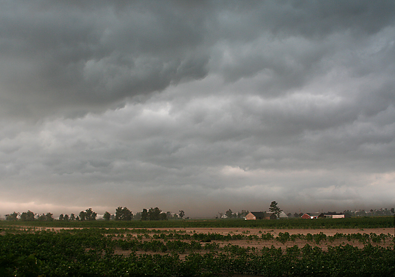 Clouds Covering Cotton