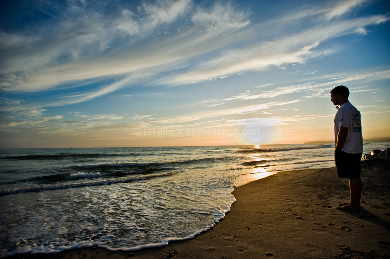 Coastal Contemplation