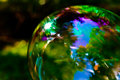 Reflections of a bubble