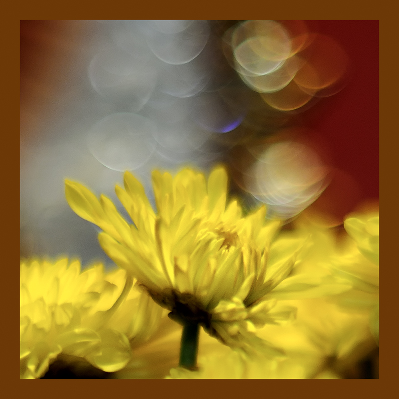 Blur Inspiration from Shez Johnston