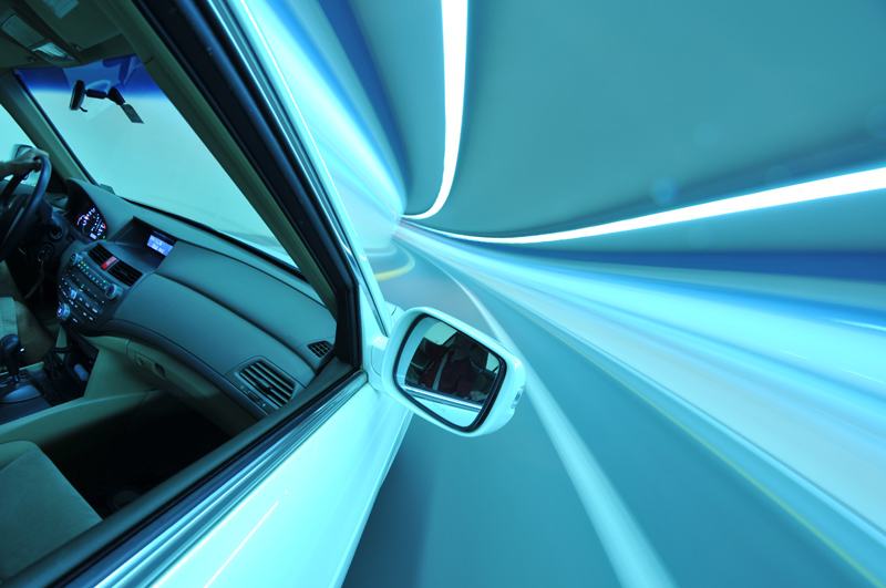 My Dog's Favorite Window