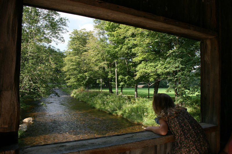 What's outside YOUR Bedroom Window?