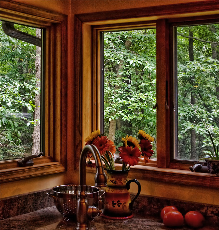 Kitchen View