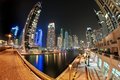 The Marina Comes Alive