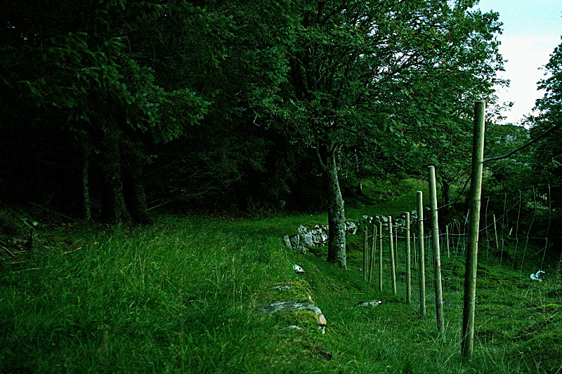 Green Path