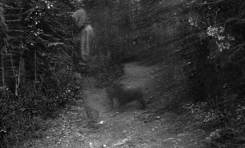 The Lost soul
