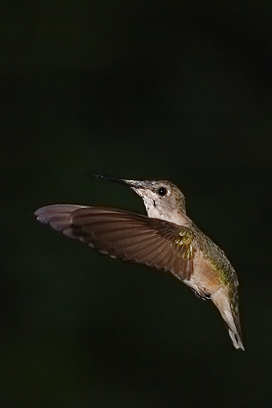 Hovering