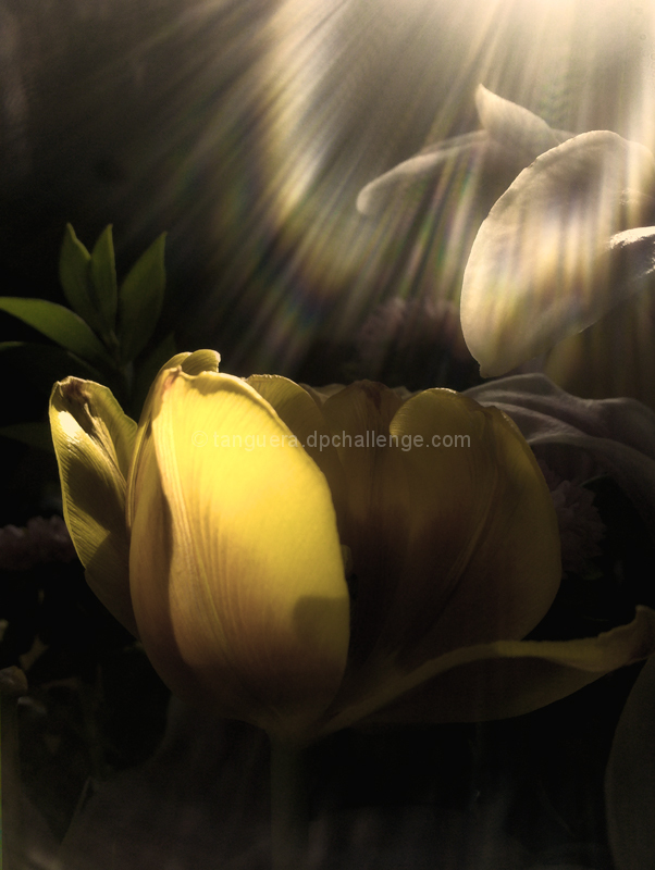 Heaven's Touch