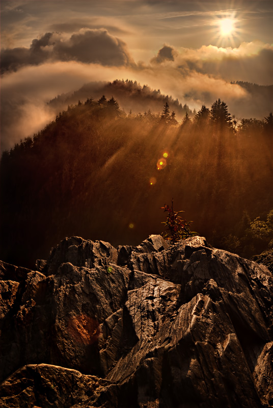 Appalachian Sunrise