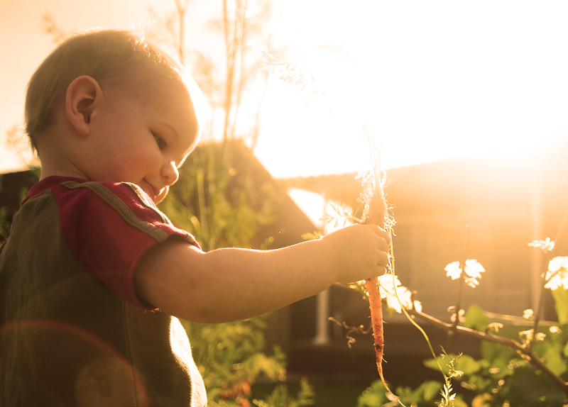 Golden hour in the patch