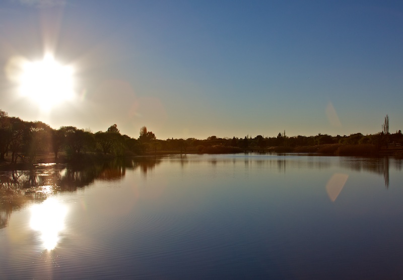 Duckpond.