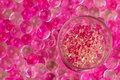 GEL granules + H2O = Pink Paradise...