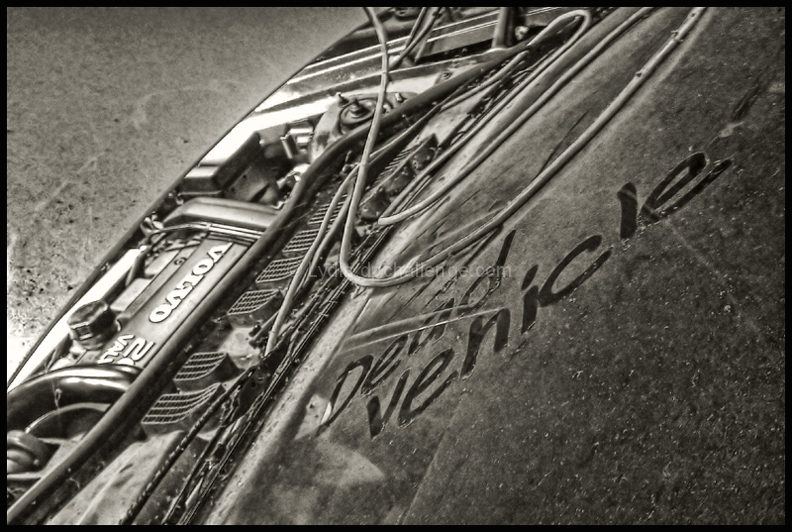 ... and Dust to Dust