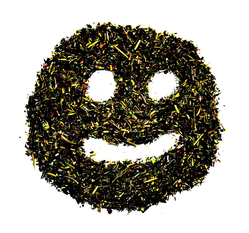 Have a Nice Day