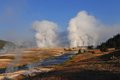 Geysers In Yellowstone