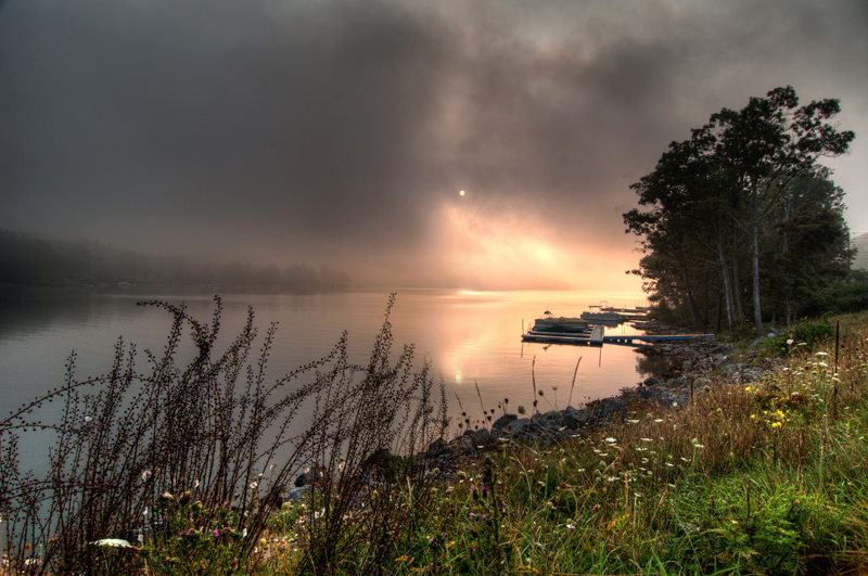 Through the fog veil...