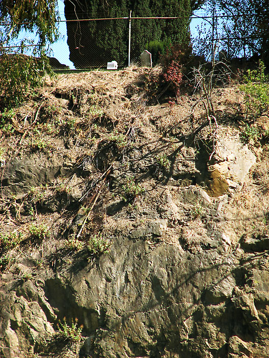 Living(?) on the Edge