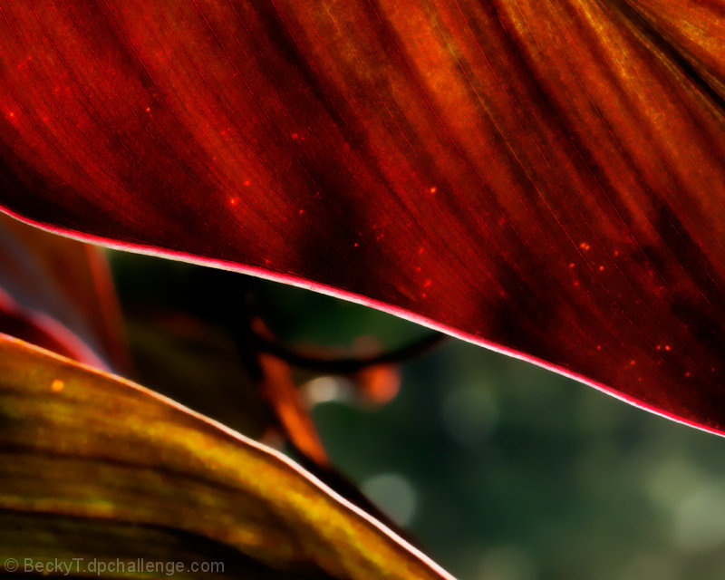 Peering