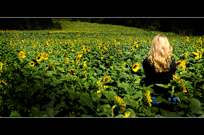 Sunflower River