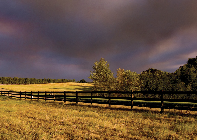 Distant Wildfire