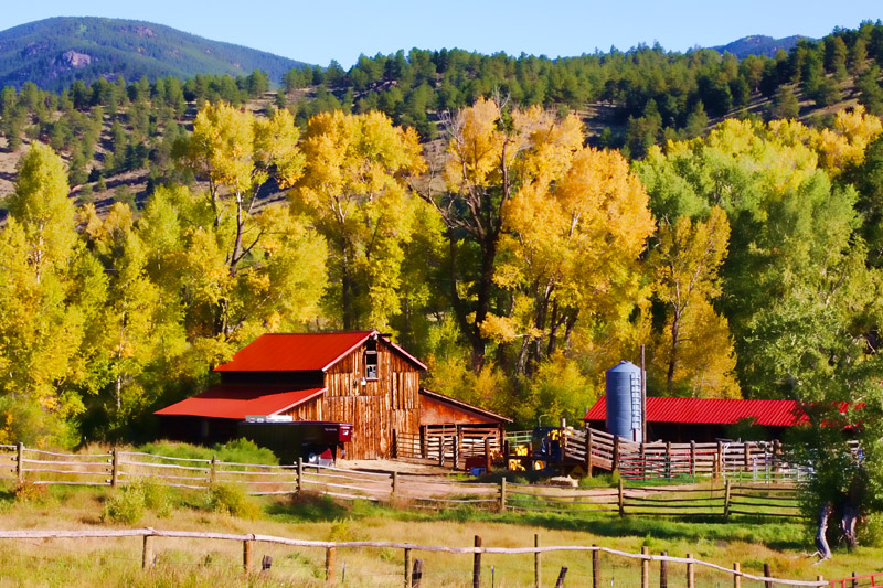 First day of Autumn at the farm