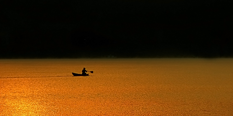 Dawn's Visitor