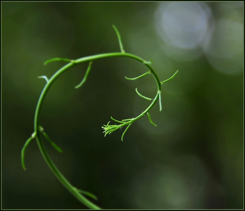 Slow Dance