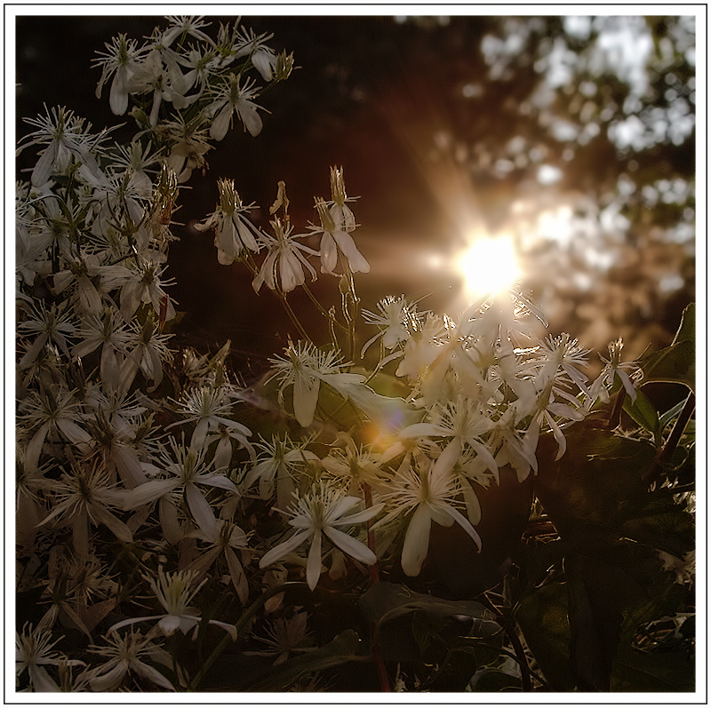 Remember when you were young, you shone like the sun.