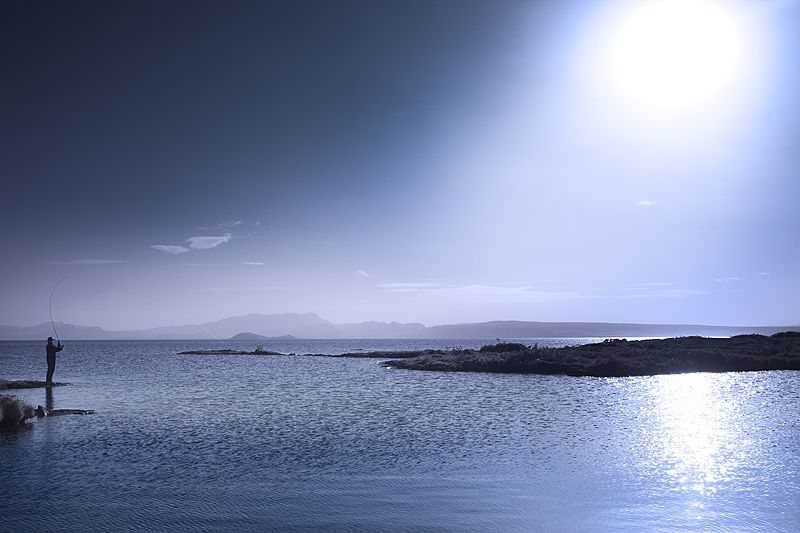 The angler 