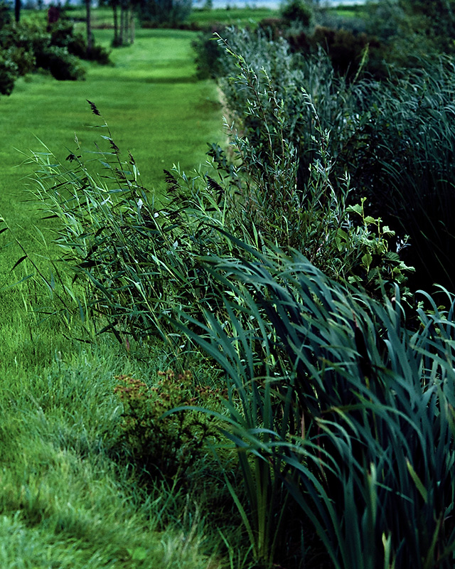 All kinds of green