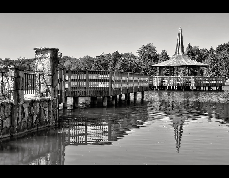 Peering From the Pier