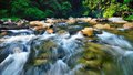 Trolls? Yup! two here in between the flows.