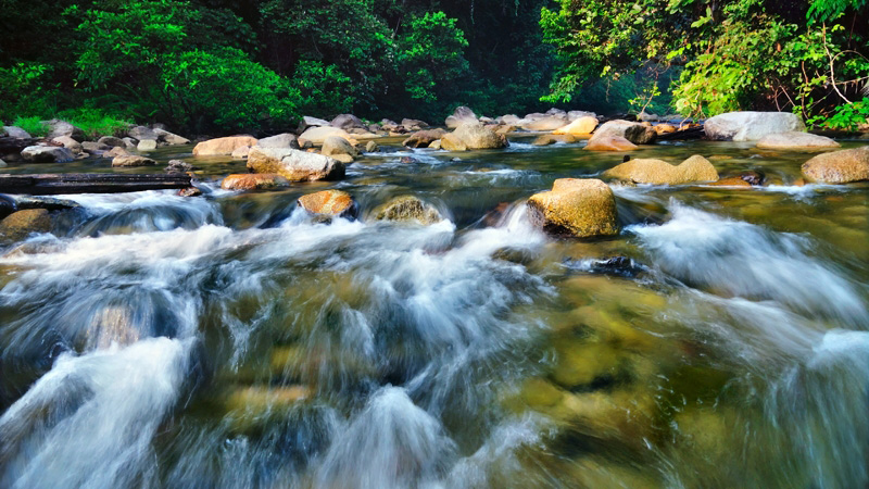 Trolls? Yup! two here in between the flows.