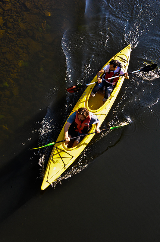 Kayak on steady water