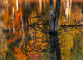 Reflections of Autumn