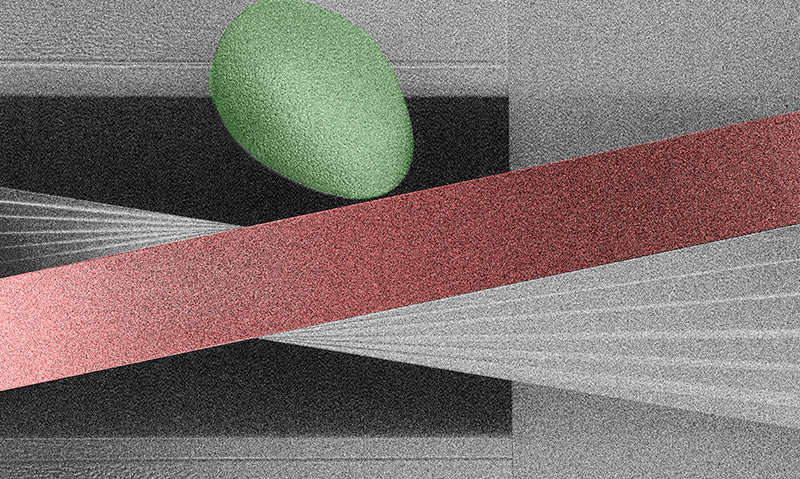 Muted shades and shapes